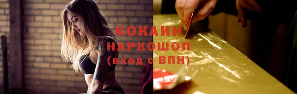 крисы Новодвинск