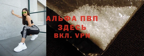 ECSTASY Новозыбков