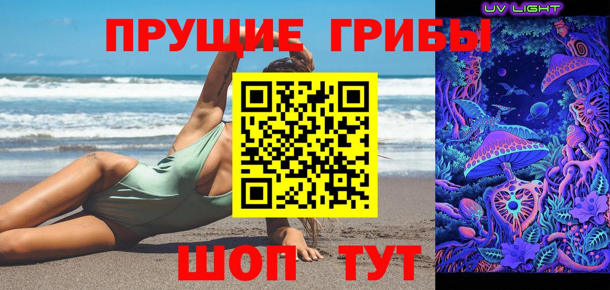 хочу наркоту  Галлюциногенные грибы Magic Shrooms  Вход с VPN  Брянск  Галлюциногенные грибы Cubensis 
