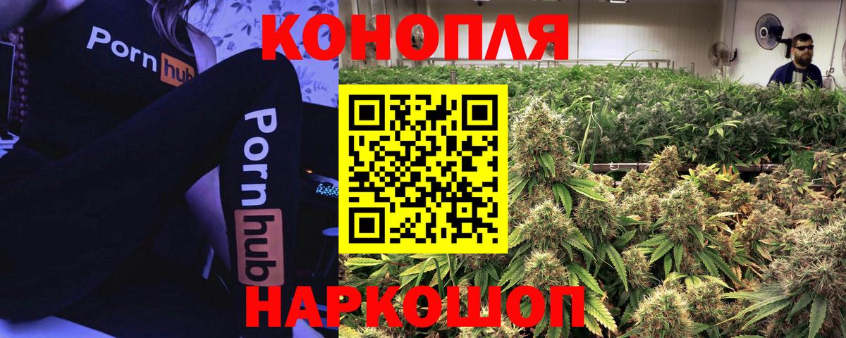 Каннабис планчик Брянск